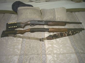 Remington+870+express+magnum+20+ga