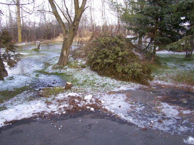 The end of the driveway